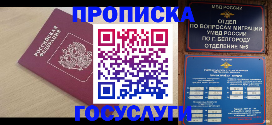 прописка законно в Петровске